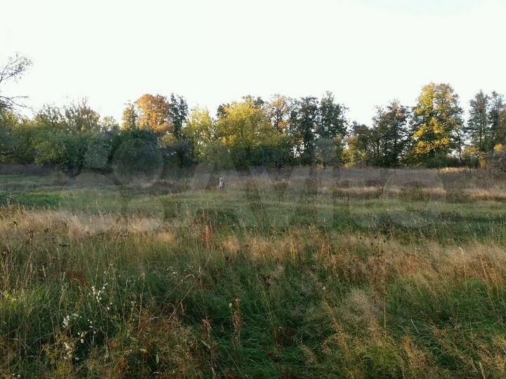 Участок 15 сот. (ИЖС)