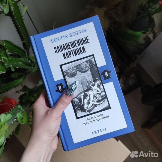 Книга Занавешенные картинки