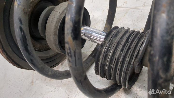 Амортизатор подвески Nissan Almera Tino, 2004