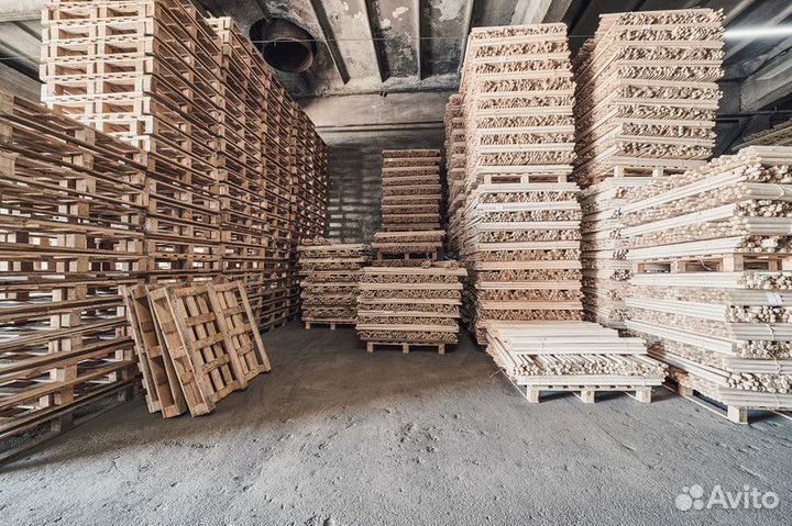 Черенки березовые в Самаре / Крупный опт