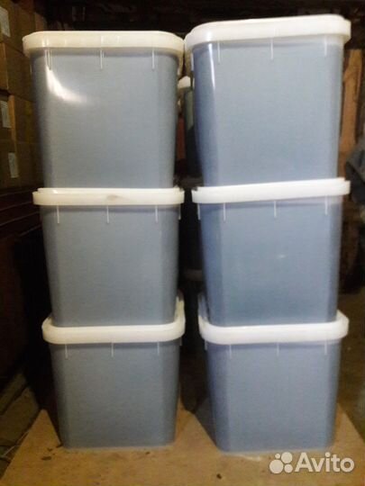 Алтайский Мед 2023