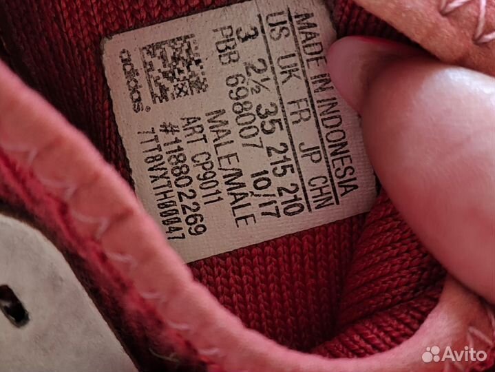 Сороконожки