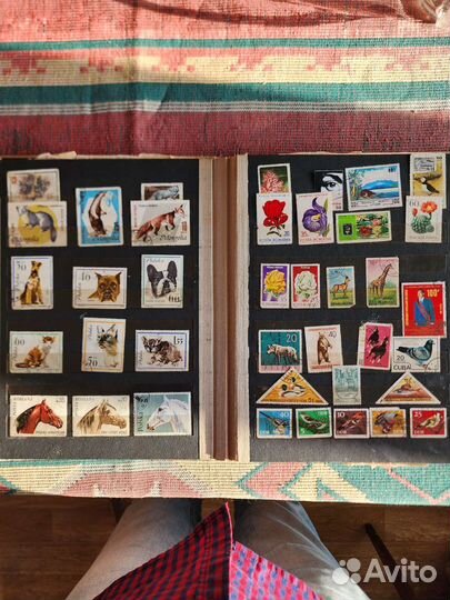 Почтовые марки мира