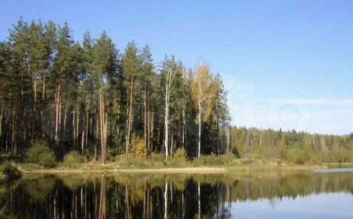 Участок 100 сот. (СНТ, ДНП)