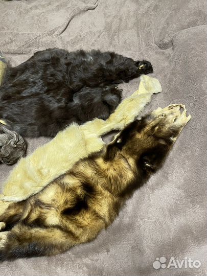 Шкурка натуральный мех