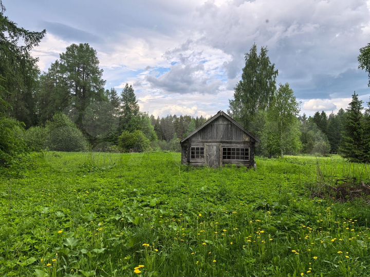 Дом 299,5 м² на участке 56,4 сот.