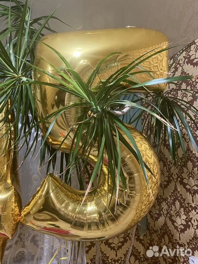 Гелевые шарики