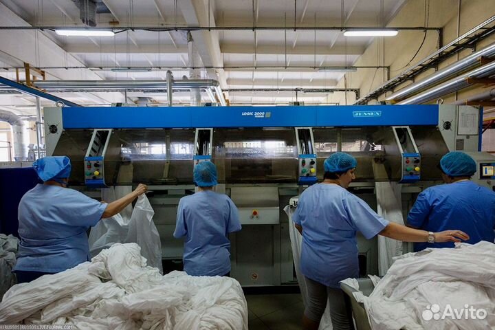 Гладильщица в ночь