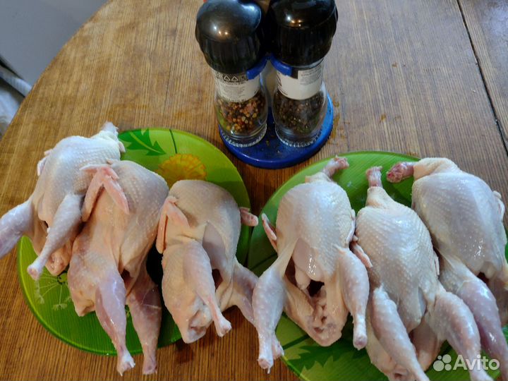 Мясо перепелов