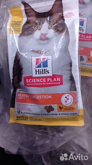 Корм для кошек котят Мейн Кун 2 кг