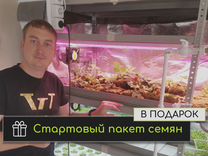 Стеллаж для рассады