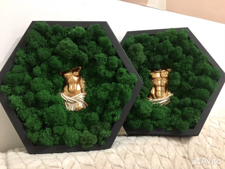 Панно со стабилизированным мхом 