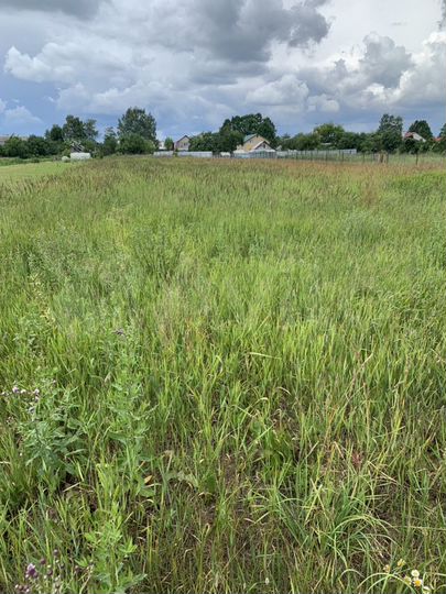 Участок 14,5 сот. (ИЖС)