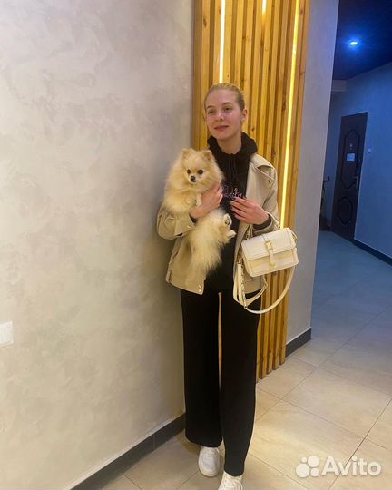 Передержка животных/ выгул собак /зооняня