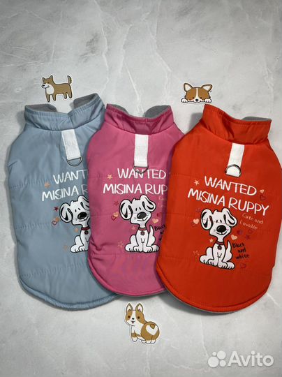 Жилеты для собак (разные)