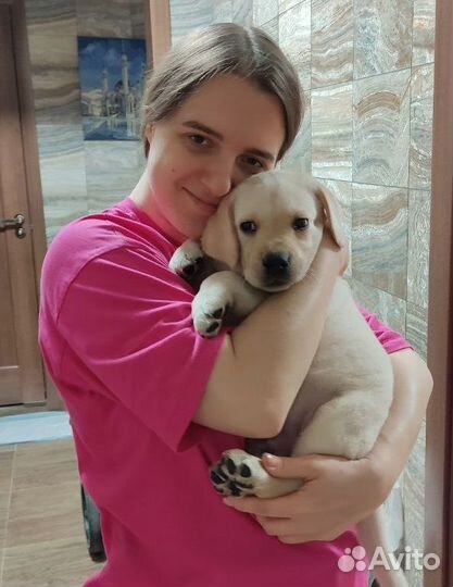 Передержка животных (няня для собак и кошек)