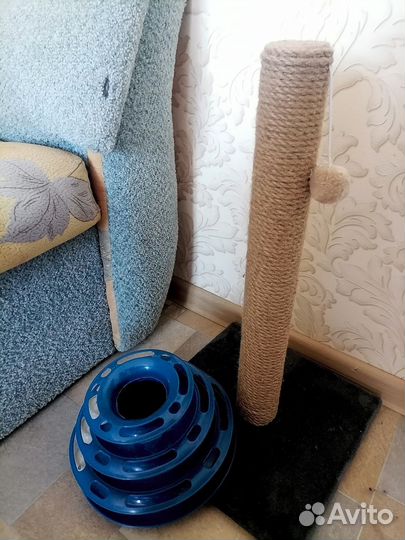 Когтеточка