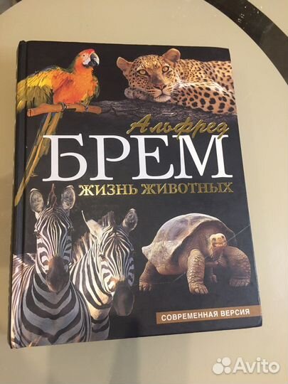 Книга Жизнь животных