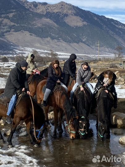 Конный прокат