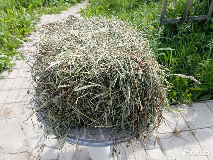 Сено луговое в брикетах