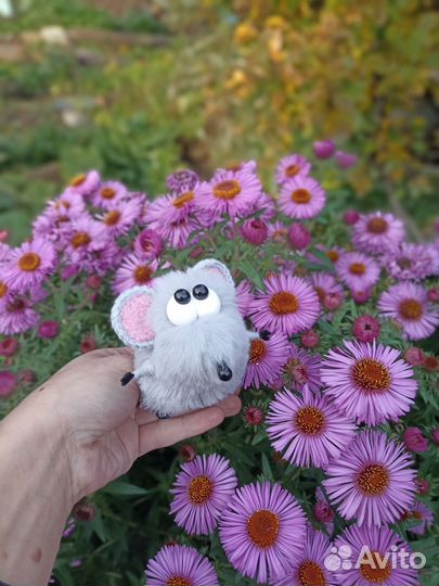 Котёнок Шмяк и Сырник для Елены