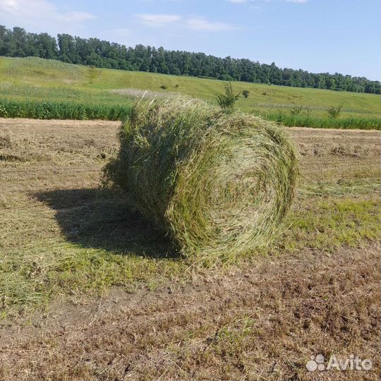 Люцерна, сено, солома
