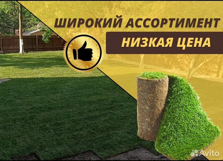 Рулонный газон укладка