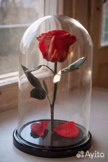 Вечная роза в колбе