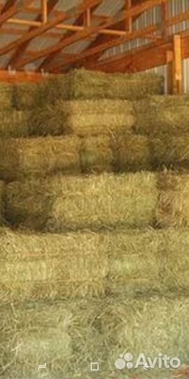 Сено Солома в Брикетах