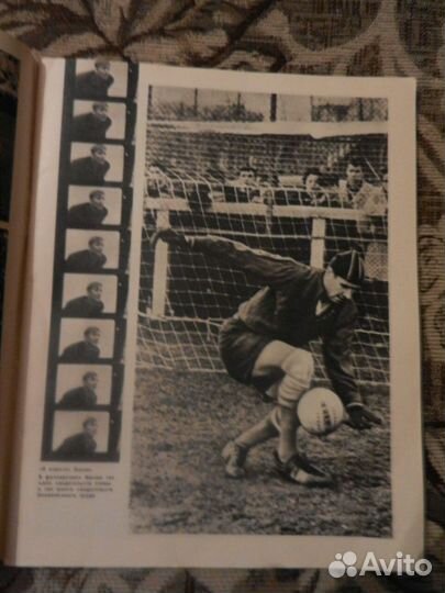 Книга о спортивных фильмах