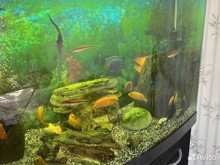 Аквариум с тумбой