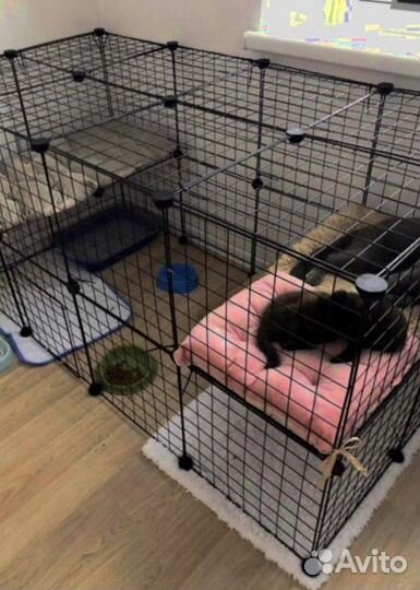 Вольер манеж