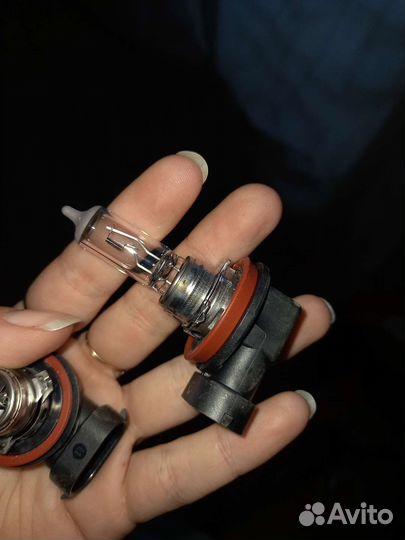 Лампа Osram h11