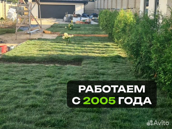 Рулонный газон Спорт. От производителя