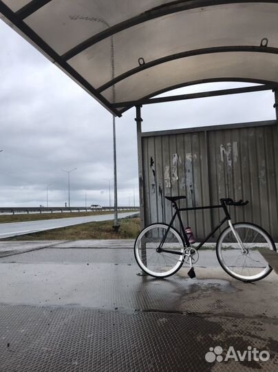 Fuji declaration фикс/сингл