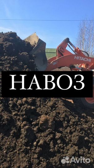 Навоз (коровий)