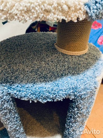 Когтеточка домик