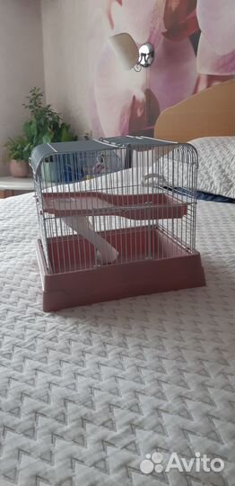 Клетка для джунгарского хомяка