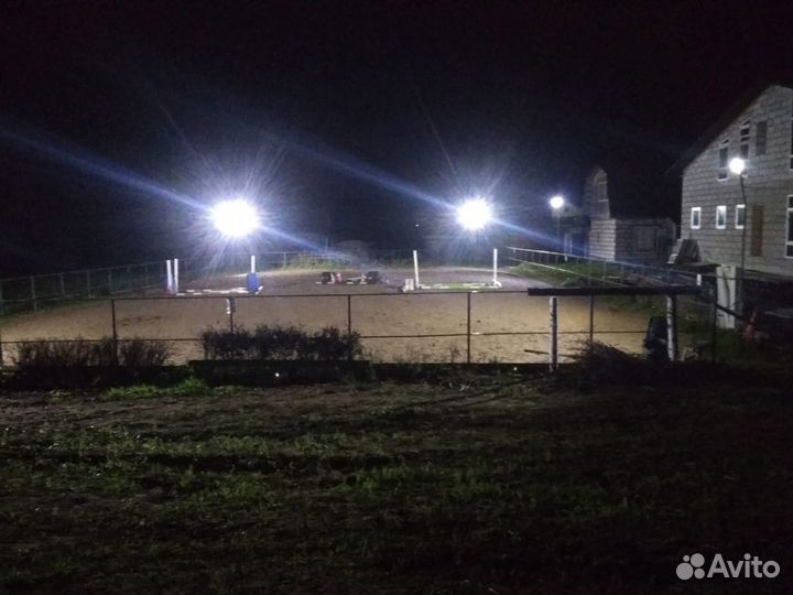 Постой для лошадей