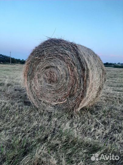 Сено в рулонах 2023