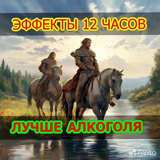 Чай пуэр бравурный WS753