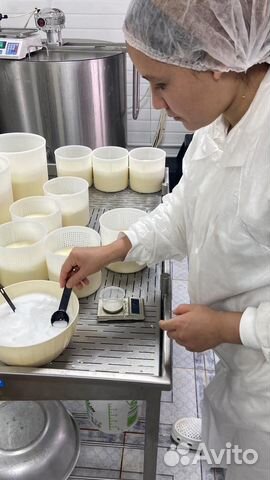 Обучение сыроделию/ Бизнес экскурсия