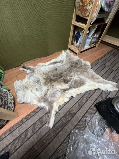 Шкура овчина кожа