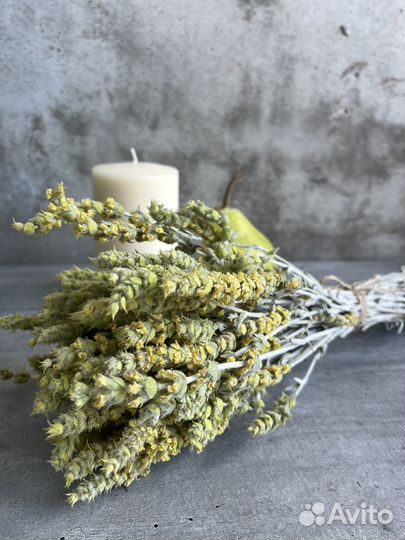 Травы Крыма для декора и чая