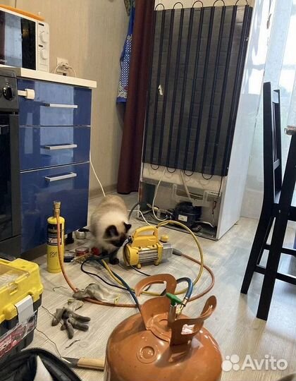 Ремонт стиральных машин, холодильников, посудомоек