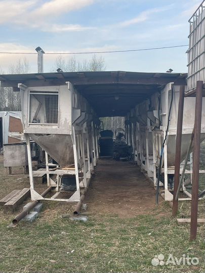 Миниферма для кроликов