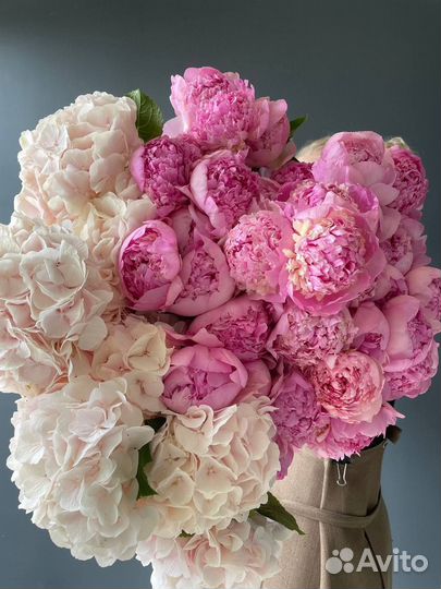 Пионы Букет из пионов 3 21 51 101 шт