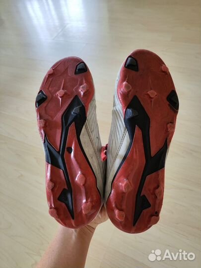 Сороконожки