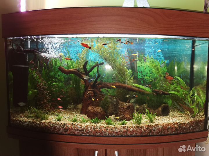 Аквариум с тумбой 120 литров