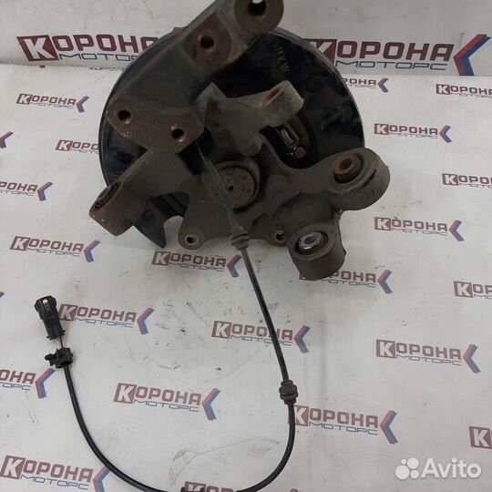 Цапфа задняя правая ssangyong actyon NEW 2011